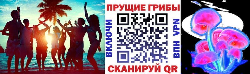 Псилоцибиновые грибы Cubensis  Купить  Кандалакша 
